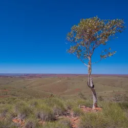 Millstream Chichester National Park - Karratha