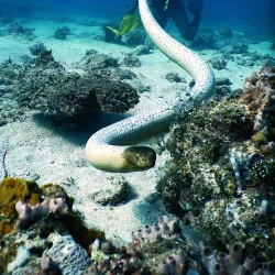 Pilbara Bush Adventures - Karratha