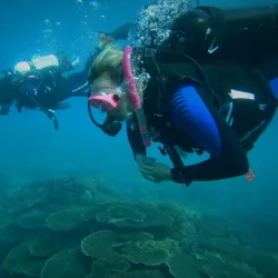 Pilbara Bush Adventures - Karratha