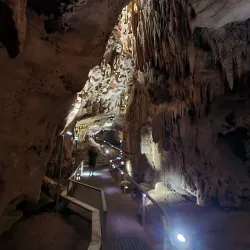Cutta Cutta Caves Nature Park - Katherine