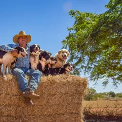 Katherine Outback Experience - Katherine