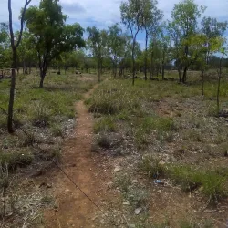 Katherine Town Walk - Katherine