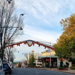 Katoomba Street - Katoomba