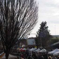 Katoomba Street - Katoomba