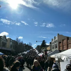 Katoomba Street - Katoomba