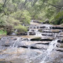Leura Cascades - Katoomba