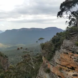 Leura Cascades - Katoomba