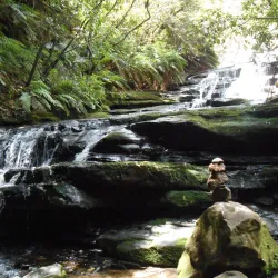 Leura Cascades - Katoomba