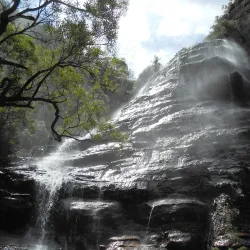 Leura Cascades - Katoomba