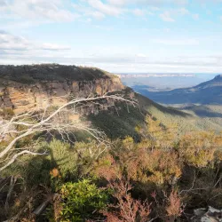 Prince Henry Cliff Walk - Katoomba
