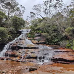 Prince Henry Cliff Walk - Katoomba
