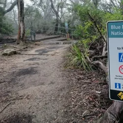 Prince Henry Cliff Walk - Katoomba