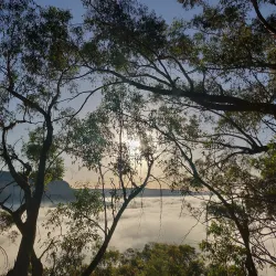 The Giant Stairway - Katoomba
