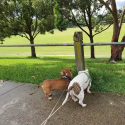 Greenway Park - Kellyville