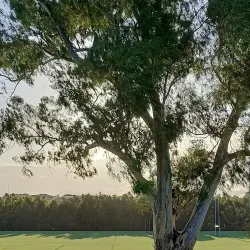 Kellyville Ridge Park - Kellyville