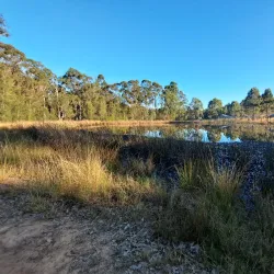 Rouse Hill Regional Park - Kellyville