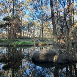 Rouse Hill Regional Park - Kellyville