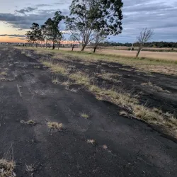 Schofields Aerodrome - Kellyville