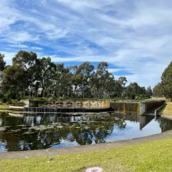 The Ponds Wetland Reserve - Kellyville