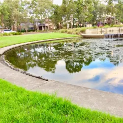 The Ponds Wetland Reserve - Kellyville