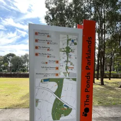 The Ponds Wetland Reserve - Kellyville