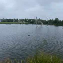 The Ponds Wetland Reserve - Kellyville