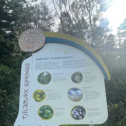 Beachfront Walking Trails - Kingston South East