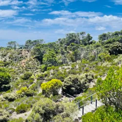 Beachfront Walking Trails - Kingston South East