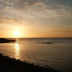 Beachfront Walking Trails - Kingston South East