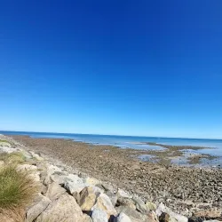 Beachfront Walking Trails - Kingston South East