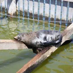 Coorong National Park - Kingston South East