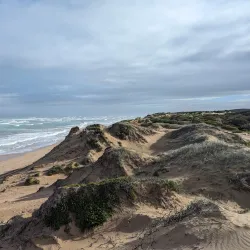Coorong National Park - Kingston South East