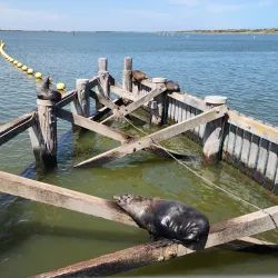 Coorong National Park - Kingston South East