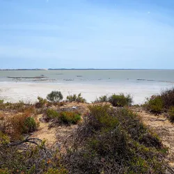 Coorong National Park - Kingston South East