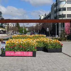 Kingston Foreshore - Kingston South East