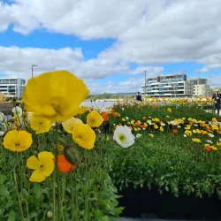 Kingston Foreshore - Kingston South East