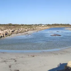 Kingston Jetty - Kingston South East