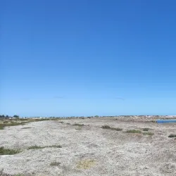 Kingston Jetty - Kingston South East