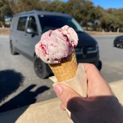 Nene Valley Vineyards - Kingston South East