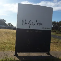 Nene Valley Vineyards - Kingston South East