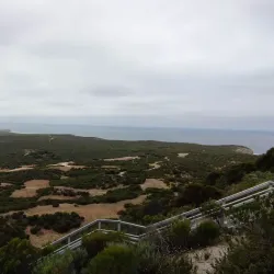 Pelican Lagoon - Kingston South East