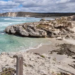 Pelican Lagoon - Kingston South East