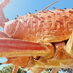 The Big Lobster (Larry the Lobster) - Kingston South East