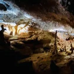 The Big Lobster (Larry the Lobster) - Kingston South East