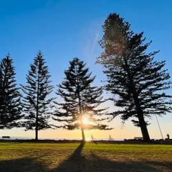 The Big Lobster (Larry the Lobster) - Kingston South East