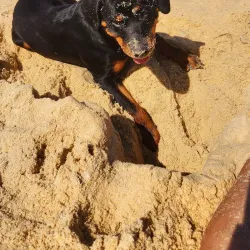 Blacksmiths Beach - Lake Macquarie