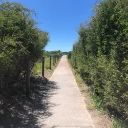 Blacksmiths Beach - Lake Macquarie