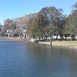 Pulbah Island Nature Reserve - Lake Macquarie