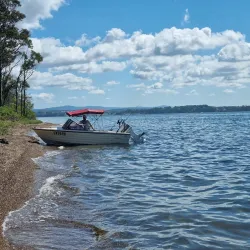 Pulbah Island Nature Reserve - Lake Macquarie