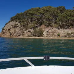 Pulbah Island Nature Reserve - Lake Macquarie